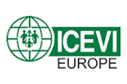 Logo ICEVI Europe.