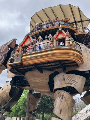 Our students on the elephant